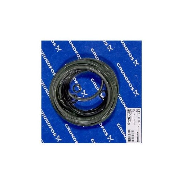 Pump Repair Kits- Kit, O-ring set for wet motor FKM.